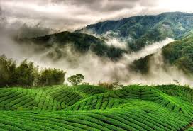 Munnar