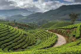 Munnar