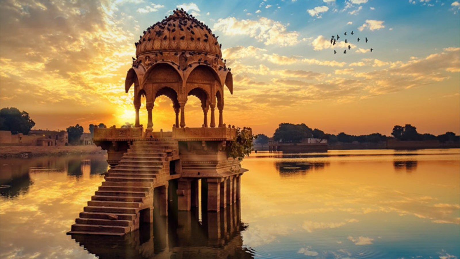 The Royal Rajasthan !