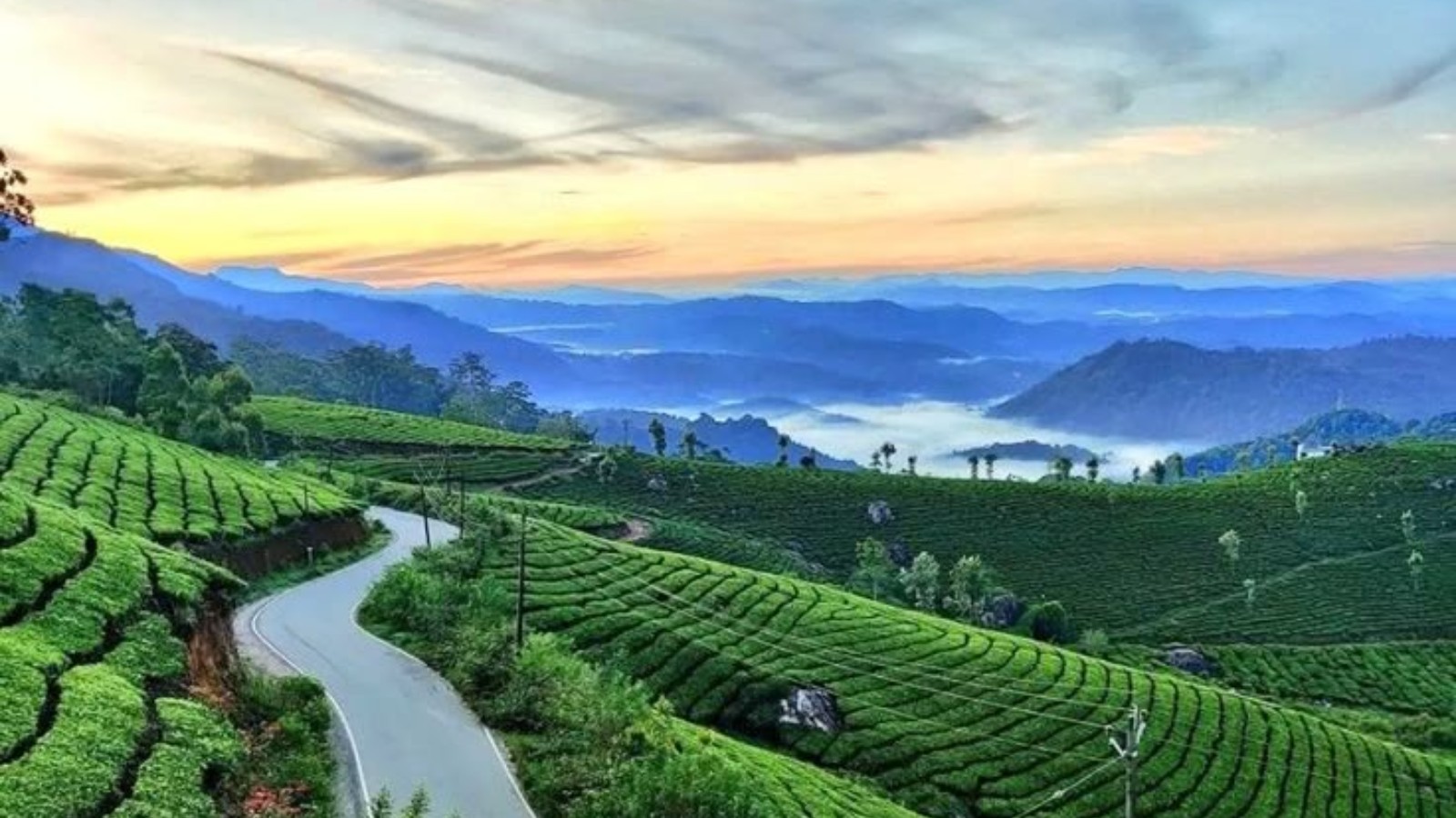 🌿 Kerala"God’s Own Country"