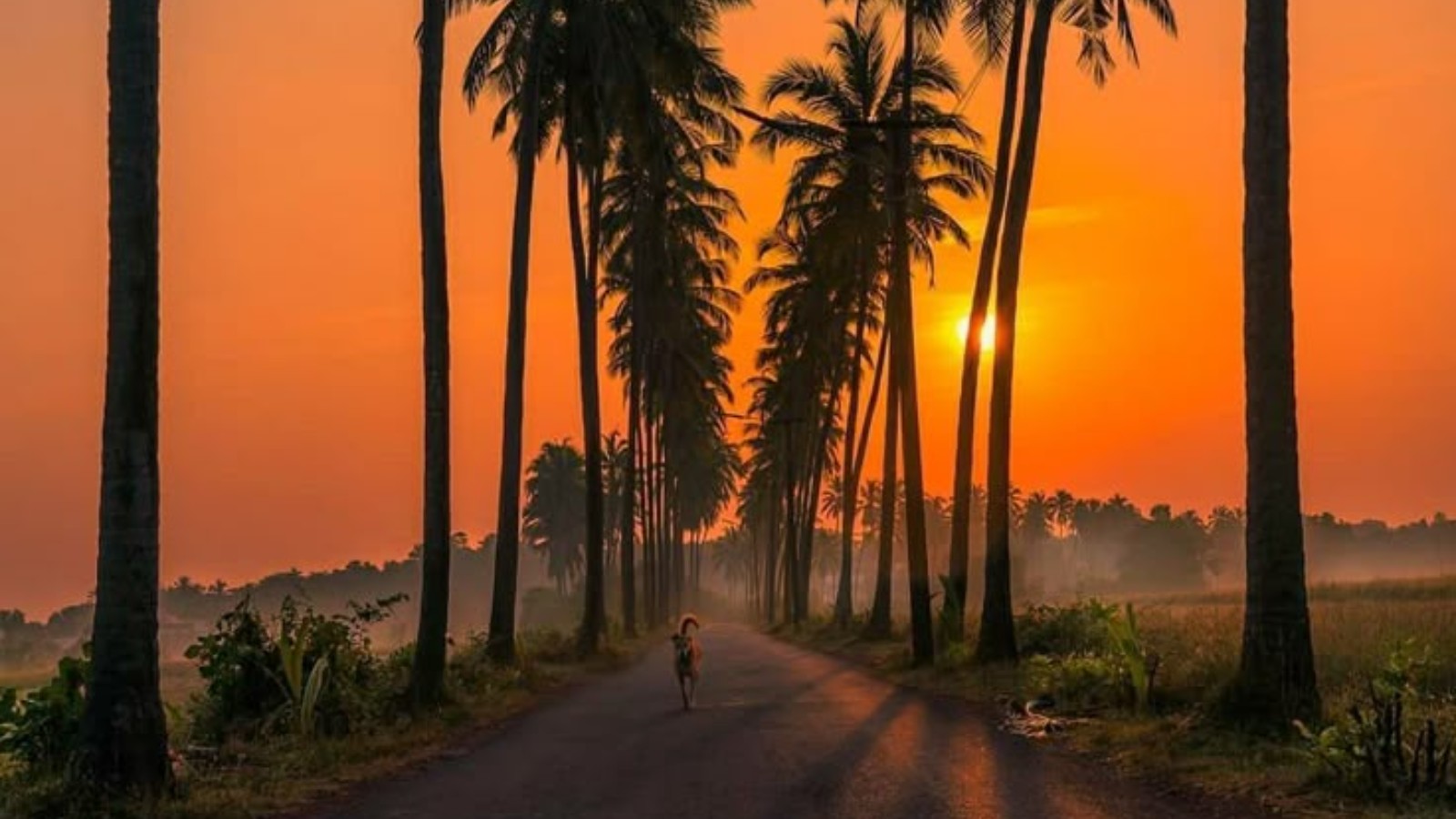 "Goa 2026: The ultimate reset. 🌴🔋"